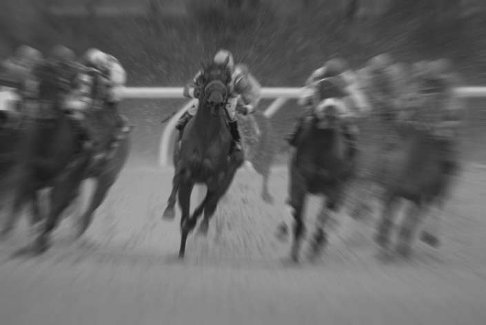 Race Horse Blur Grayscale Darker