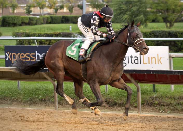 Heart Stopper wins at Hawthorne on 10/7/16 in race #7 Heart Stopper wins at Hawthorne on 10/7/16 in race #7