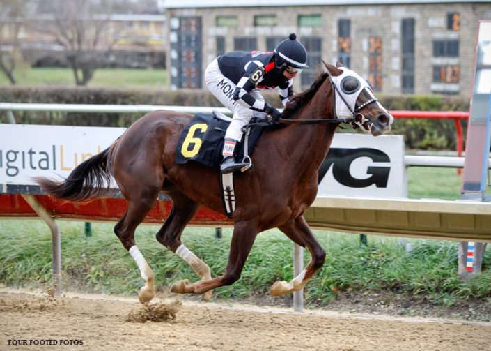 sheza-super-star-horse-racing-partnership Sheza Super Star wins at Hawthorne Racecourse on December 1, 2016