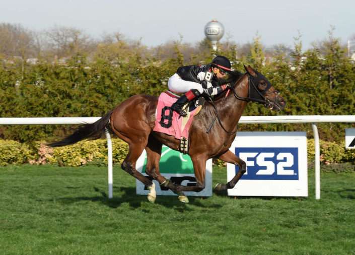 Fun Guy wins at Aqueduct on 04/12/17 in race #8 Fun Guy wins at Aqueduct on 04/12/17 in race #8