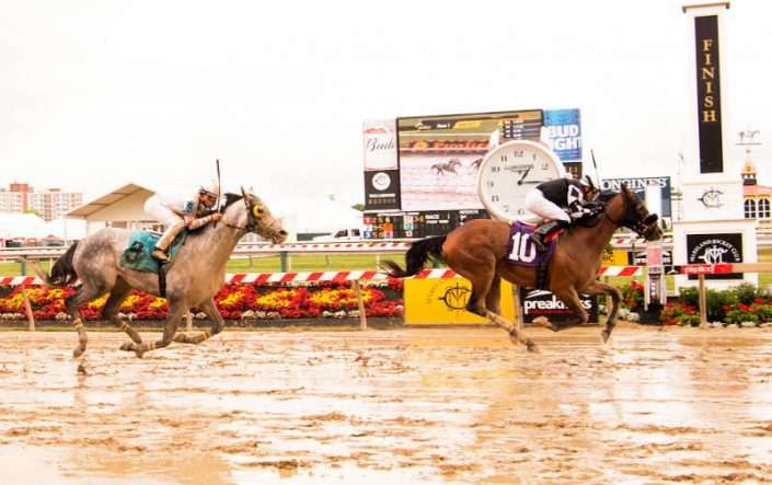 Regal Expectations wins at Pimlico Racecourse Regal Expectations wins at Pimlico Racecourse on May 25, 2017 in race #1.
