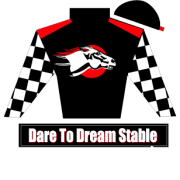Dare To Dream Stable Horse Racing Partnerships
