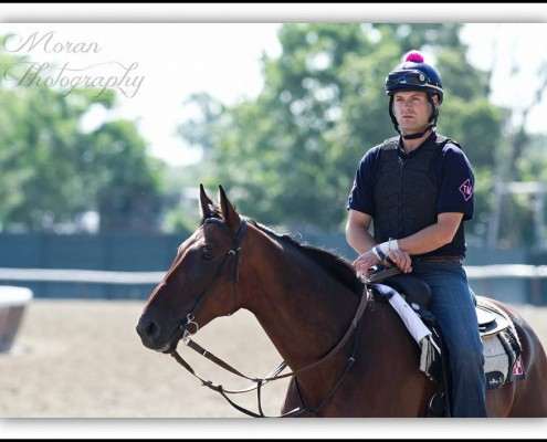Tom Morley on horse