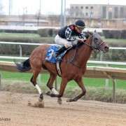 Kingston Terrace wins at Hawthorne on 4-12-15 in race #8.