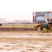 Nate's Dynamite wins at Pimlico on 4-10-15 in race #3