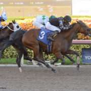 Thunder Afleet wins at Gulfstream Park on 06/25/16