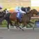 Thunder Afleet wins at Gulfstream Park on 06/25/16