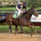 Heart Stopper wins at Hawthorne on 10/7/16 in race #7