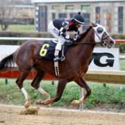 Sheza Super Star wins at Hawthorne Racecourse on December 1, 2016