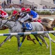 Dare To Dream Stable Horse Racing Partnership's Jockamo's Song wins at Fair Grounds on 12-30-16