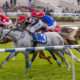 Dare To Dream Stable Horse Racing Partnership's Jockamo's Song wins at Fair Grounds on 12-30-16