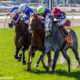 Tiznoble wins at Fair Grounds Racecourse on 02/25/17 in race 3