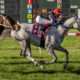 Jockamo's Song wins at Fair Grounds Racecourse on 03/02/17 in race 7