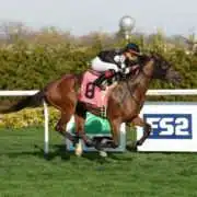 Fun Guy wins at Aqueduct on 04/12/17 in race #8 Fun Guy wins at Aqueduct on 04/12/17 in race #8