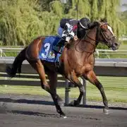 She’s Got the Mojo wins at Arlington Park on 06/02/17 in race #6 Dare To Dream Stable Horse Racing Partnerships She's got the Mojo wins at Arlington Park on 06/02/17 in race #6.