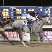 Jockamo's Song wins the Louisiana Legends Sprint Stakes at Evangeline Downs on July 8, 2017