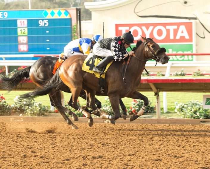 Spiced Perfection wins at Del Mar 07-19-17 in race #9 Spiced Perfection wins at Del Mar 07-19-17 in race #9