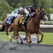 Memory Bank wins at Arlington Park on 07-20-17 in race #7