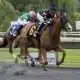 Memory Bank wins at Arlington Park on 07-20-17 in race #7