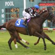 Golden Story wins at Suffolk Downs on 08/05/17 in race #7.