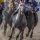 Horse Racing Partnership - Jockamo's Song wins the Louisiana Sprint Cup Stakes at Louisiana Downs on 08/05/17