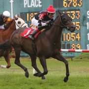Dare To Dream Stable Horse Racing Partnerships Golden Story wins at Suffolk Downs