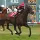 Dare To Dream Stable Horse Racing Partnerships Golden Story wins at Suffolk Downs