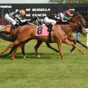 Memory Bank wins allowance race at Tampa Bay Downs on 01/05/18