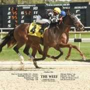 The Weef wins at Tampa Bay Downs on 02/15/18