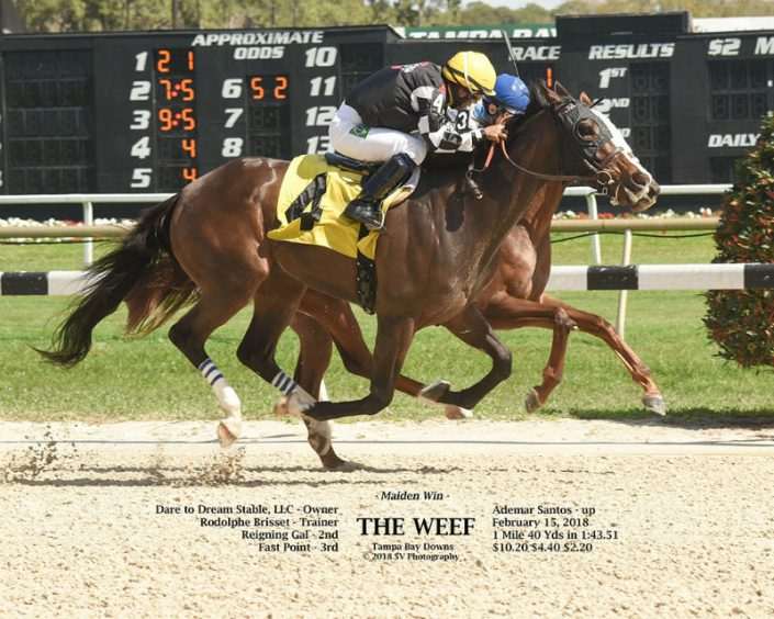 The Weef wins at Tampa Bay Downs on 02/15/18 for Dare To Dream Stable Horse Racing Partnerships The Weef wins at Tampa Bay Downs on 02/15/18