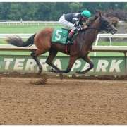 Dare To Dream Stable's He's No Bull wins at Belterra Park by almost 10 lengths on August 18, 2018 in race 3.