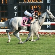 Jockamo's Song wins at Arlington Park on August 2, 2018 in race #7