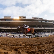 Spiced Perfection wins at Del Mar on 824-18 in race #6