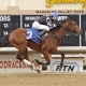 He's No Bull wins at Mahoning Valley Race Course on 02/26/19