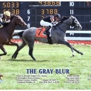 The Gray Blur Wins at Arlington Park on 08/10/19 in race 6