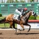 Busy Paynter wins at Los Alamitos Race Course on 09/21/19 in race #3