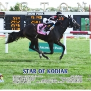 Star of Kodiak wins at Arlington Park on September 8, 2019 in race 5.