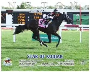 Star of Kodiak wins at Arlington Park on September 8, 2019 in race 5.