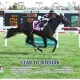 Star of Kodiak wins at Arlington Park on September 8, 2019 in race 5.