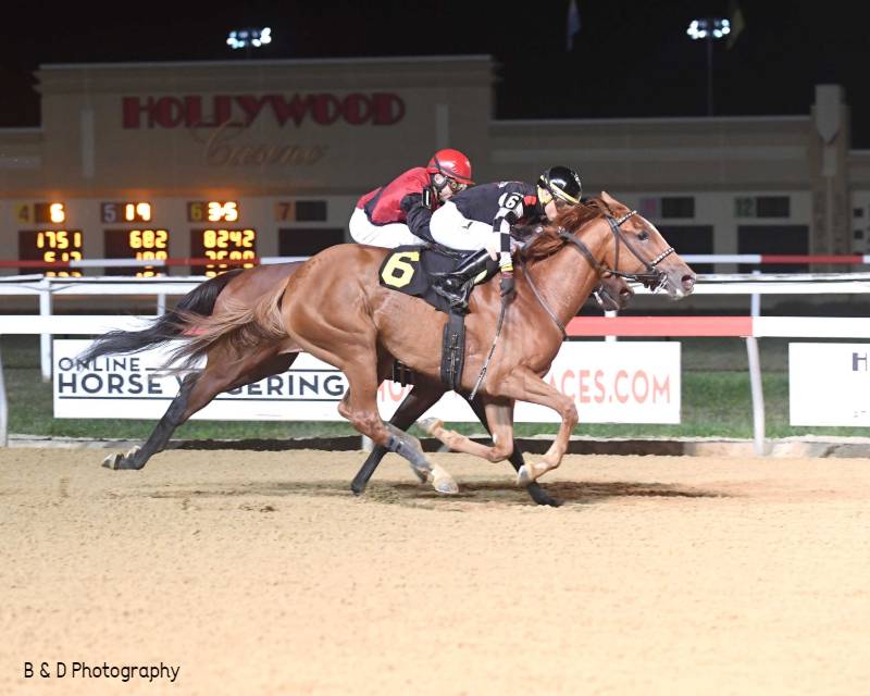 Rainbow Warrior wins at Penn National Race Course on 09/19/19 in race