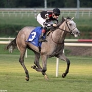 Embolden wins the Jamestown Stakes at Colonial Downs on 09//08/19 in race 6