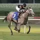 Embolden wins the Jamestown Stakes at Colonial Downs on 09//08/19 in race 6