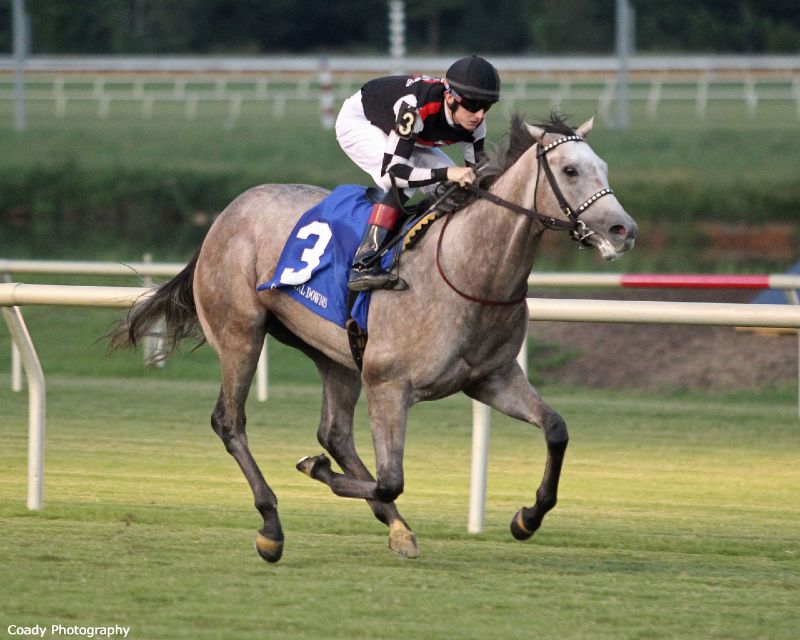 Embolden wins the Jamestown Stakes at Colonial Downs on 09//08/19 in race 6