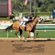 Busy Paynter wins at Santa Anita in race #2 on 01/10/20