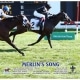 Merlin's Song wins at Arlington Park on 09/19/20