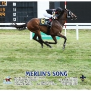 Merlin's Song wins at Arlington Park on 08/7/20 in race #5