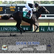 Quick Tempo wins MSW at Arlington Park on 08/20/20 in race #5