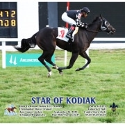 Star of Kodiak wins at Arlington Park on 09/24/20 in race #9