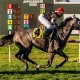 The Gray Blur wins at Fair Grounds on 02/01/20 in race #9