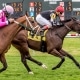 Wings of Fury wins at Fair Grounds on 01/01/20 in race #2